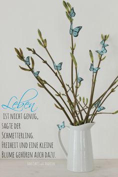 Image Result For Zitate Albert Schweitzer Kinder Image Result For Zitate Albert Schweitzer Kinder