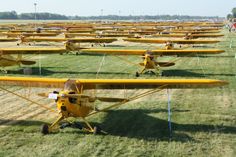 Hal Hgiatto Profile Pinterest