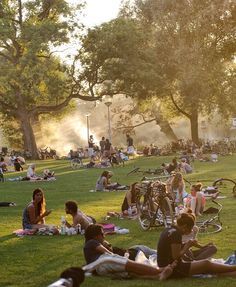 amsterdam picknick