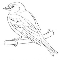 Buchfink - Ausmalbild - Naturstrolche | Ausmalbilder Vögel, Vogelumriss, Vogel Malvorlagen