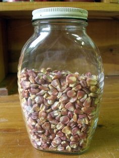 11 Best Seed Saving Tips Images Seeds Storage Garden 11 Best Seed Saving Tips Images Seeds Storage Garden