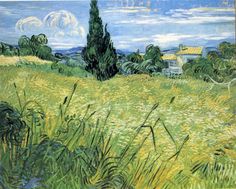 Vincent Van Gogh Wheat Field with Cypresses near Eygalieres 20/"x26/" on Canvas