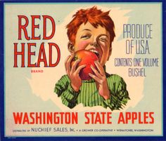 1920S ORIGINAL APPLE CRATE STOCK LABEL CALIFORNIA WASHINGTON OREGON VINTAGE