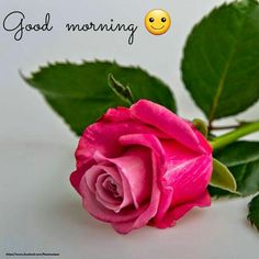 1528 best good morning and other wishes images on pinterest in 2018