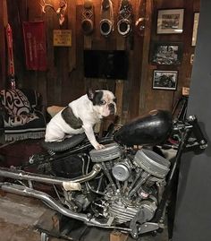 Мотоцикл Bobber, Гараж Для Мотоциклов, Бобберсы, Искусство