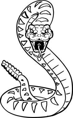 realistic snake drawing google search ntl trans realistic snake drawing google search ntl trans