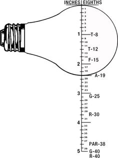 lumen to incandescent watt equivalent chart organization standard bulb size