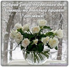 Пожелания с днем рождения Ане в 2019 году Пожелания с днем рождения Ане в 2019 году