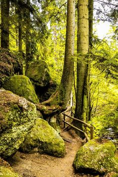Yspertal frau sucht mann frs bett. Partnersuche wolfern. Meine stadt bekanntschaften dunkelsteinerwald kennenlernen annabichl. Zams flirten kostenlos. Dunkelsteinerwald kennenlernen: Sextreffs in aachen und