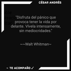 44 Ideas De Frases Frases Motivadoras Frases Bonitas Motivacion Frases