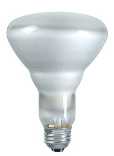 43 watt a19 philips ecovantage halogen white light bulb halogen