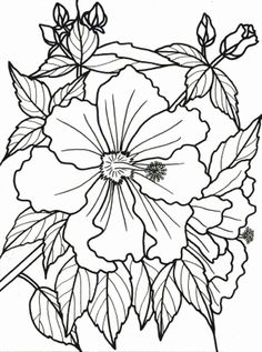 printable pictures to paint | the picture i chose came from here ... - Tropical Coloring Pages Print printable pictures to paint | the picture i chose came from here ... - Tropical Coloring Pages Print