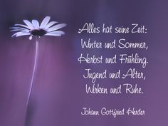 Er sucht sie lieben gruß rainer