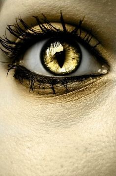 10591 dark eyes contacts