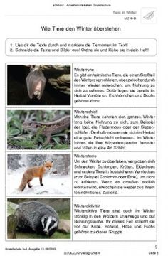 Tiere im winter kennenlernen