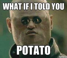 229 best internet memes