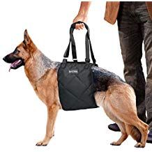 Dog Lift Harness Sling Acl Brace For Rear Leg Support Of Xl Old