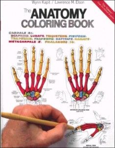Anatomy Coloring Book The Edition Wynn Kapit Lawrence M