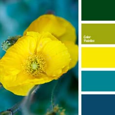 33 best bright yellow