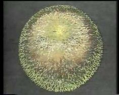 24 Best Research on Zbigniew Rybczynski images 24 Best Research on Zbigniew Rybczynski images