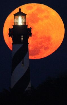 44 best halloween moon