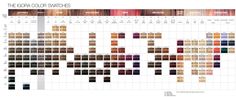 Schwarzkopf Professional IGORA Vibrance Color Chart 2014. | Hair Color