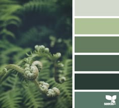 Nature tones for the living room. And most of the house with maybe some bright colors thrown in