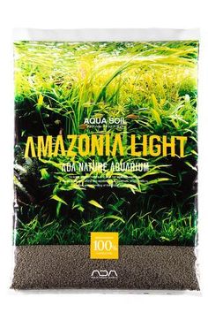 11 best freshwater plant