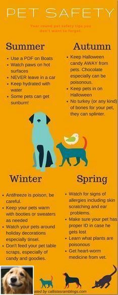 Stop Dog Jumping And Dog Training Barking Check The Pic For Lots