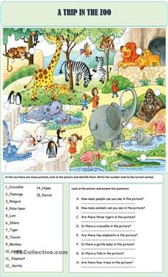 Narrative essay visit zoo