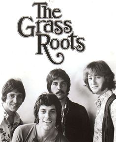 81 The Grass Roots Ideas Grass Roots Grass Roots Band Roots 81 The Grass Roots Ideas Grass Roots Grass Roots Band Roots