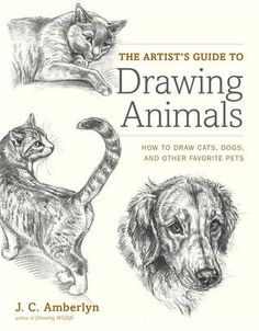 Download Pdf The Artist S Guide To Drawing Animals How To Draw Cats Dogs And Other Favorite Pets By J C Amberly Animal Drawings Artists Guide Cat Drawing
