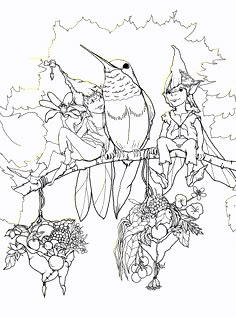 155 Best Faerie Coloring Pages Images On Pinterest
