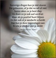 tuinen van het hart lyrics 516 beste afbeeldingen van leuke uitspraken in 2018 tuinen van het hart lyrics 516 beste afbeeldingen van leuke uitspraken in 2018