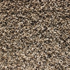 Stainmaster Active Family Carefree Andover Frieze Indoor Carpet Spellbound Color 1 Residential Textured Frieze Carpet