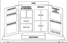 science projects layout