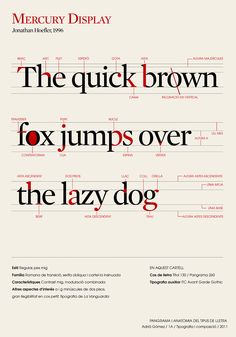 11 best typeface anatomy