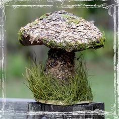 Wild Mushroom Decor Supplies