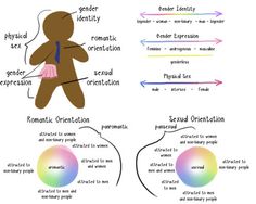 54 Best Visualizing Gender Ideny Binaries Spectrumore The Genderbread Person On Use Of Infographics To Explain Gender Ideny