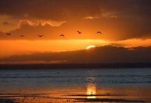 ما هو مفهوم العبادة وما هي حاجة الانسان الى العبادة تعريف العبادة لغة واصلاحا Celestial Outdoor Sunset