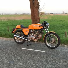 Ducati Scrambler 250 350 450 1966 1974 Bikes Pinterest