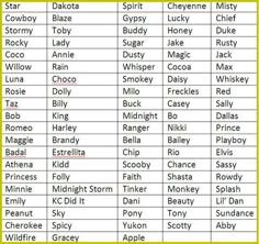 23 best horse names images creative writing handwriting ideas