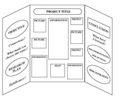 science projects layout
