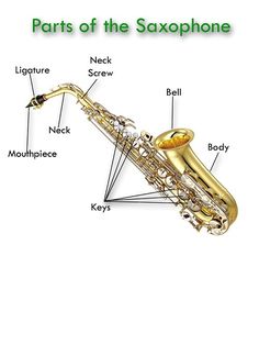 parts of the oboe glades middle school band website woodwind transposition chart