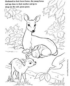 Harmonious Deer Family Coloring Pages
