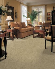 Living Room Carpetneutral Carpet Traditional Living Room Best Carpet For Living Room Review Living Room Carpetneutral Carpet Traditional Living Room Impressive Carpet For Living Room Design Ideas