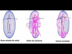 Masajeador de próstata 3d imprimible Masajeador de próstata 3d imprimible