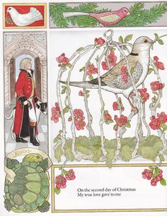 time to pull out our christmas books again heres a lovely version of the 12 days of christmas illustrated by jan brett - 12 Days Of Christmas Book time to pull out our christmas books again heres a lovely version of the 12 days of christmas illustrated by jan brett - 12 Days Of Christmas Book