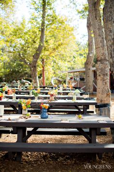 52 Best Bommer Canyon Wedding Images On Pinterest Outdoor Ceremony Bommer Canyon Wedding Part One Garrett And Megan