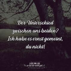 350 Xy Ideen Spruche Zitate Nachdenkliche Spruche Spruche